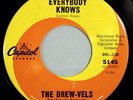 HEAR IT 60's R&B Northern Soul 45 rpm The Drew-Vels 