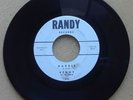 KENNY AND THE CADETS 45 RECORD BARBIE / WHAT IS A YOUNG GIRL MADE OF- BEACH BOYS