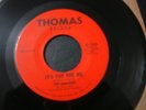THE AMAZERS WITHOUT A WARNING 45 RECORD IT'S YOU FOR ME VG++