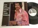 Jimi Hendrix LP Can You Please Crawl Out Your Window RARE