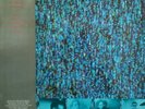 Virgin Prunes The Hidden Lie Live In Paris 6/6/86 Vinyl Lp Baby 008