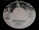 Genesis: I Know What I Like (In Your Wardrobe) 45