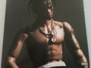 Travis Scott - Rodeo, LP Vinyl Record