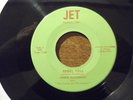 JIMMIE GANZBERG * INDY PRIVATE PRESS * ROCKABILLY * RARE * REBEL YELL * JET