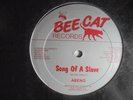 ABENG Son Of A Slave BEE CAT Digi Roots Killer Reggae 12