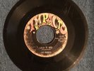 Los Rondels 45 RPM “La La Te Amo” Chicano Tejano Soul Delfonics