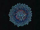 TERRA INCOGNITA BY JOE HERTLER & THE RAINBOW SEEKERS VINYL LP NEW SEALED