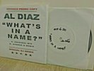 AL DIAZ - WHAT'S IN A NAME? 80's NYC NO WAVE NOT DISCO PROMO Basquiat SAMO mp3