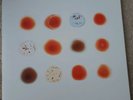 PETER GABRIEL - SCRATCH MY BACK/AND I'LL SCRATCH YOURS - DOUBLE VINYL