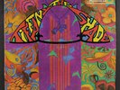 TIFFANY SHADE: The Tiffany Shade LP (6
