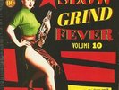 Various - Slow Grind Fever, Vol.10 (LP) - Vinyl Rock & Roll