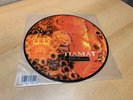 TIAMAT WILDHONEY ORIGINAL LIMITED PICTURE DISC CENTURY MEDIA in 1994 MINT