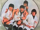 THE BEATLES YESTERDAY AND TODAY LP PICTURE DISC BUTCHER