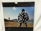 Pink Floyd: Delicate Sound of Thunder Vinyl