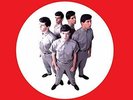AKZEPTABEL This Is The Devo Box 6 Multi-Coloured Lp's/Limited Box Rsd Vinyl