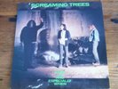 Screaming Trees Even If and Especially When