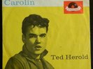TED HEROLD    