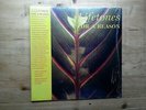 Lifetones For A Reason Excellent Vinyl Record LITA141