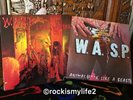 W.A.S.P. LIVE..IN THE RAW US CAP REC 48053 LP & Animal UK 12” 12 Kut 109 Both Ex