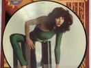 KATE BUSH - The Kick Inside - Rare 1st Press UK Picture Disc LP (Vinyl Record)