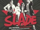 SLADE - Feel The Noize: The Singlez Box - Vinyl (limited 10x7