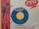 M.G. & THE ESCORTS 45 A Someday Fool 1967 canadian garage rock holy grail