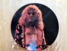 Led Zeppelin/Robert Plant picture disc  Central Park 1969