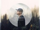 Freddie Joachim - 'Beyond The Sea Of Trees' (Vinyl LP Record [2LP])