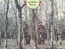 GAY & TERRY WOODS Backwoods VINYL LP Original 1975 UK Polydor EX Condition
