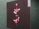 Depeche mode - Violator LP (New Order/Indie/Alternative/New Wave/Pop)