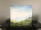 THE BLACK CROWES - Before The Frost Vinyl LP - 2019 Blue/Green Sealed
