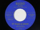 Doo-Wop/Rock & Roll 45 - Sounds - My Pillow Of Dreams - Sarg - VG+ mp3