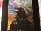 The Stranglers - The Raven - Vinyl LP with 3D Sleeve - Near Mint