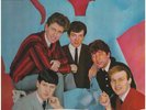 The Hollies Stay With The Hollies NEAR MINT Bgo Vinyl LP