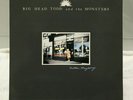 Big Head Todd and the Monsters LP Another Mayberry