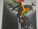 BUDGIE - IN FOR THE KILL  VINYL LP  UK MCF 2546  NO BAR CODE
