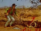 MARTY ROBBINS - The Return Of The Gunfighter - Mono  LP signed on cover by Marty