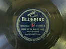 Hillbilly 78: MORRIS BROTHERS, Bluebird 8841, E+