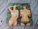 Roxy Music Vinyl LP Country Life