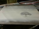 GENESIS WIND AND WUTHERING CHARISMA LP EXCELLENT CONDITION PROG ROCK