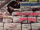 BROWN, James - Sho Is Funky Down Here - Vinyl (LP)