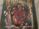 33 Giri Jazz-Funk The Headhunters “Survival Of The Fittest” Italia 1975