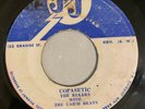 THE RULERS - COPASETIC - JJ ( ROCKSTEADY 7 )