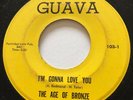 NORTHERN SOUL The Age of Bronze I'M GONNA LOVE YOU Guava 45 rare