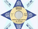 THE VAN DYKES - SAVE MY LOVE FOR A RAINY DAY - MINT- 7