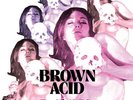Various Artists - Brown Acid - The Ninth Trip / Various [New Vinyl LP]