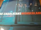 Charlatans Wonderland