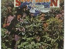SAVOY BROWN - A STEP FURTHER - ROCK BLUES VINYL LP