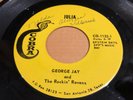 San Antonio Tejano/Tex-Mex GEORGE JAY & ROCKIN' RAVENS Julia COBRA CO-1132 NM