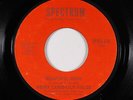 Crossover Soul 45 - Hoagy Lands-Lily Fields - Beautiful Music - Spectrum VG+ mp3